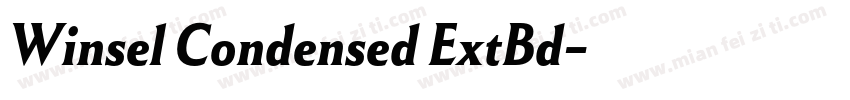 Winsel Condensed ExtBd字体转换